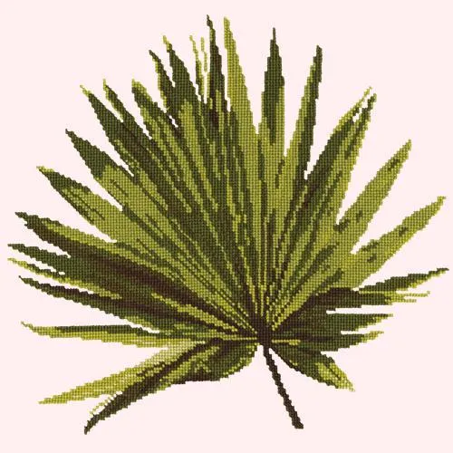 Fan Palm Leaf