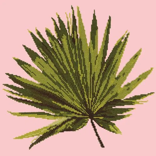 Fan Palm Leaf