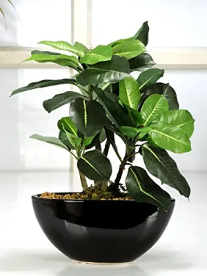 Fourwalls Artificial Quercus Ceramic, Polyester and Polyurethane Bonsai Plant in a Pot (18 cm x 10 cm x 29 cm, Green)