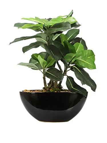 Fourwalls Artificial Quercus Ceramic, Polyester and Polyurethane Bonsai Plant in a Pot (18 cm x 10 cm x 29 cm, Green)
