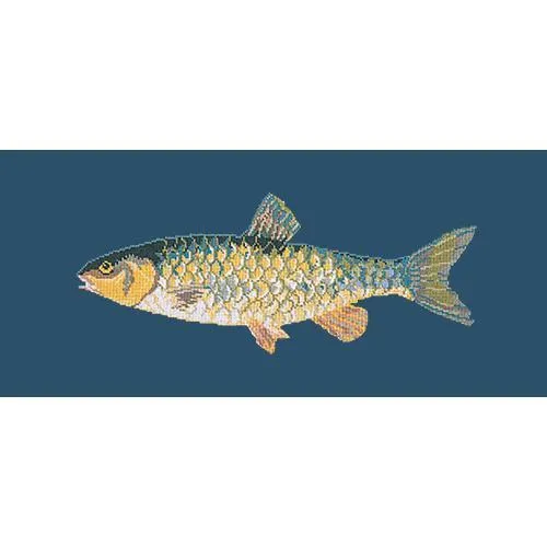 Freshwater Chub