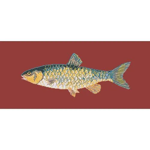 Freshwater Chub