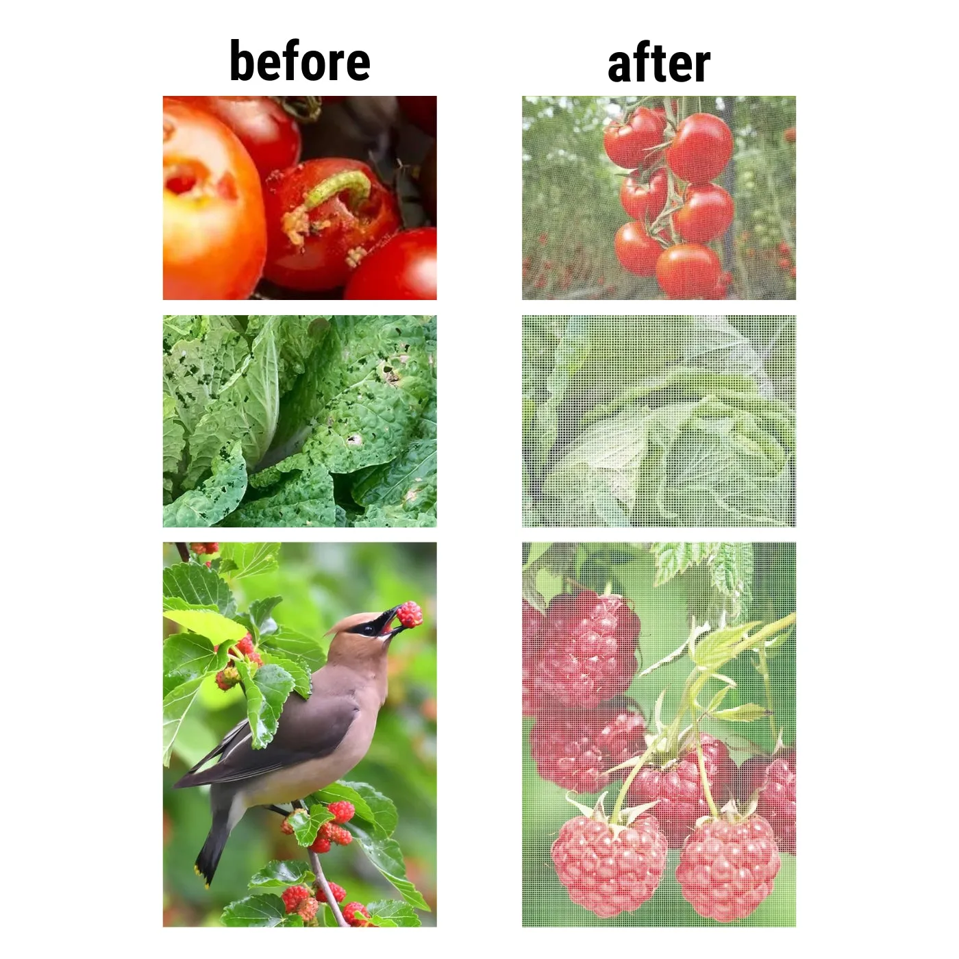 Garden Mesh Netting Protection Kit