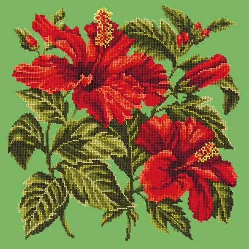 Hibiscus
