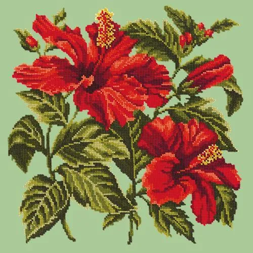 Hibiscus