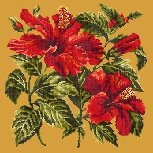 Hibiscus