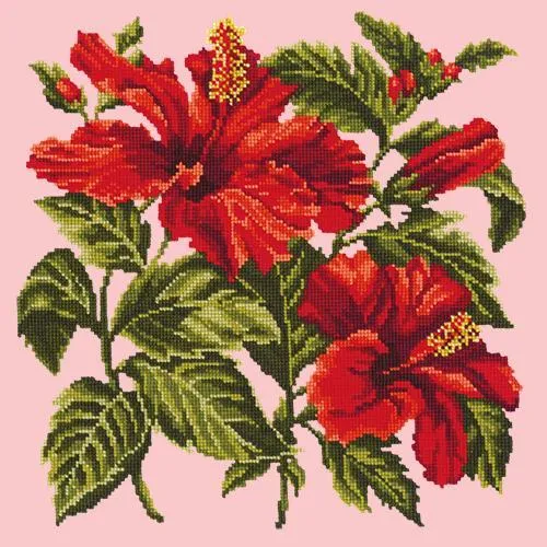 Hibiscus