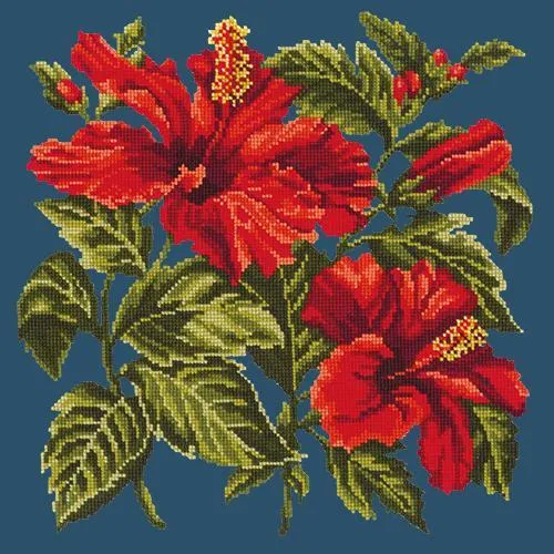 Hibiscus