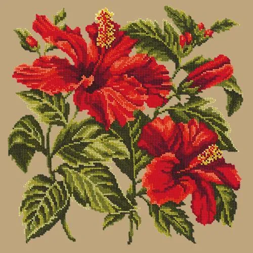 Hibiscus