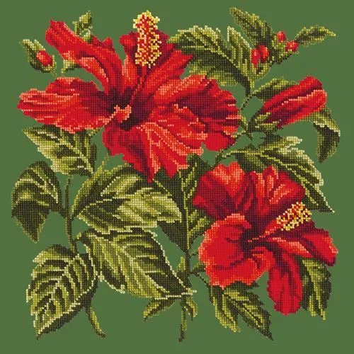Hibiscus