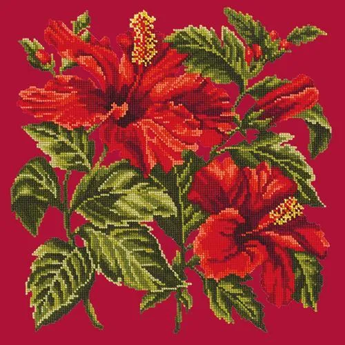 Hibiscus