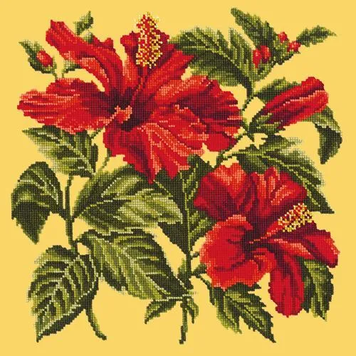 Hibiscus