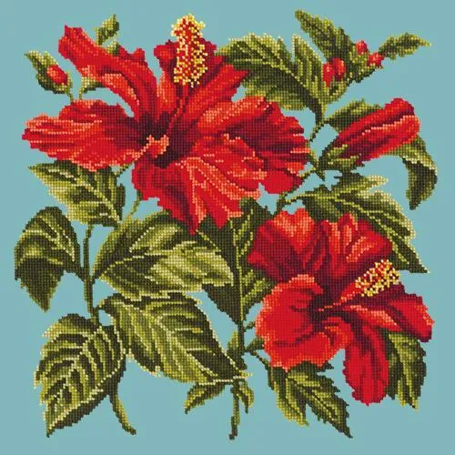 Hibiscus