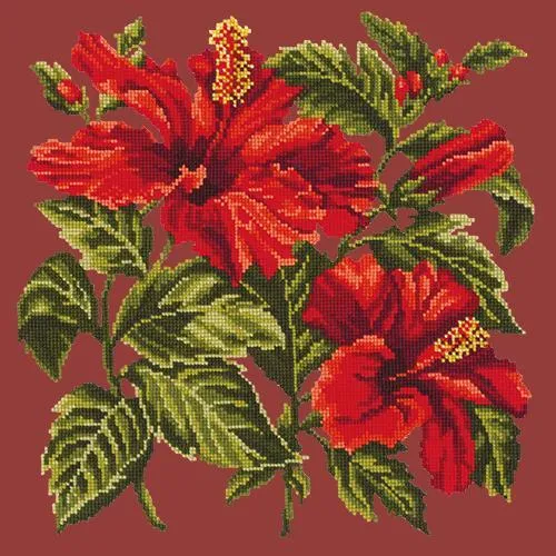 Hibiscus