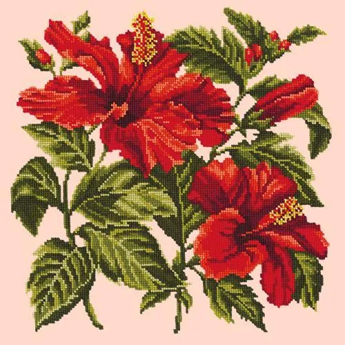 Hibiscus