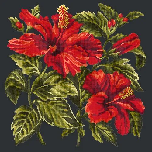 Hibiscus