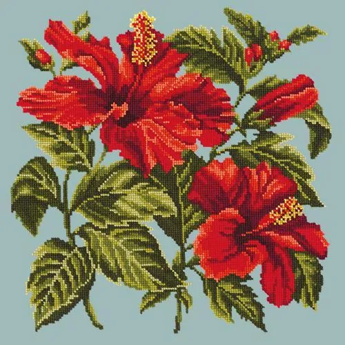 Hibiscus