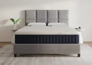 Majestic Chill | Medium