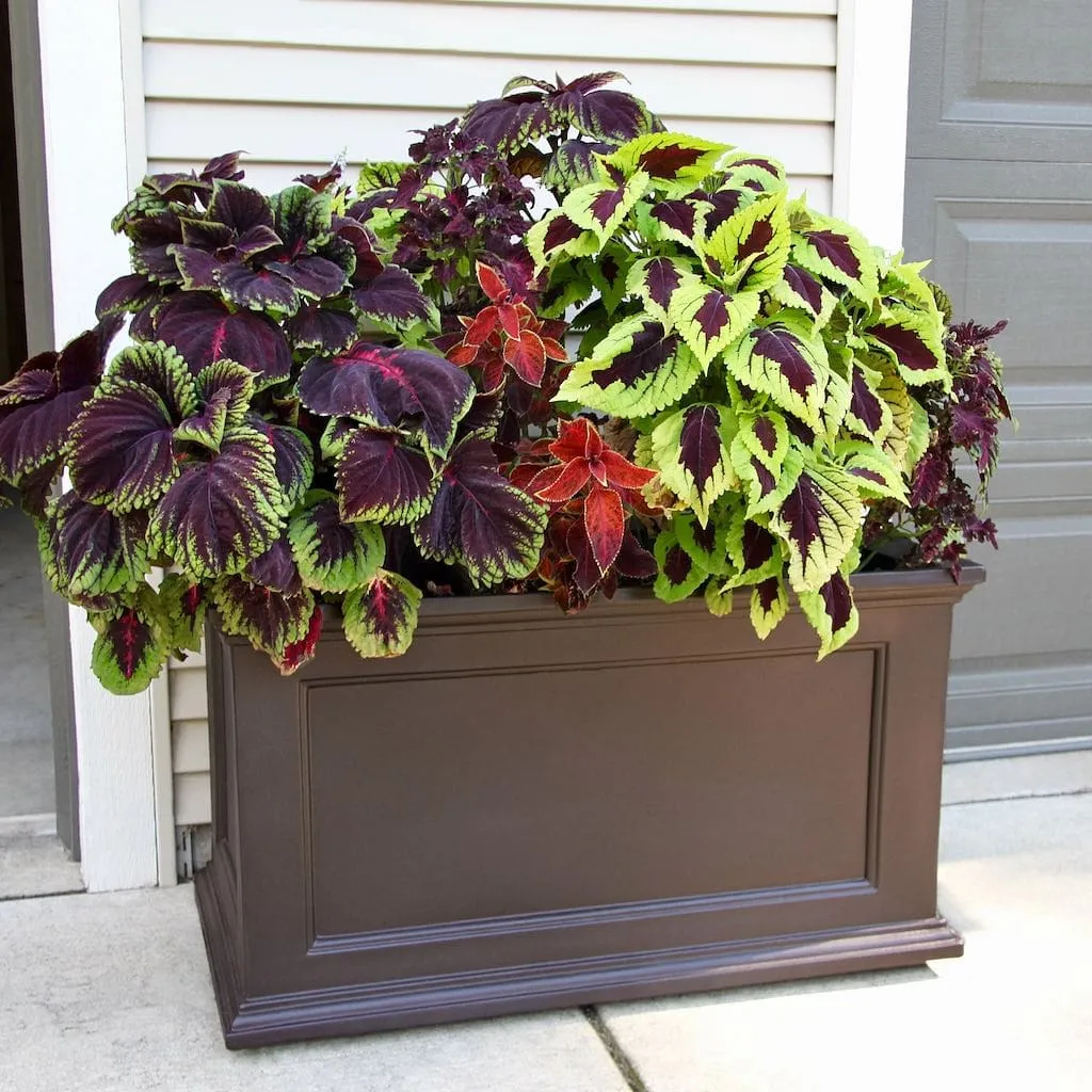 Mayne Fairfield 20x36 Planter