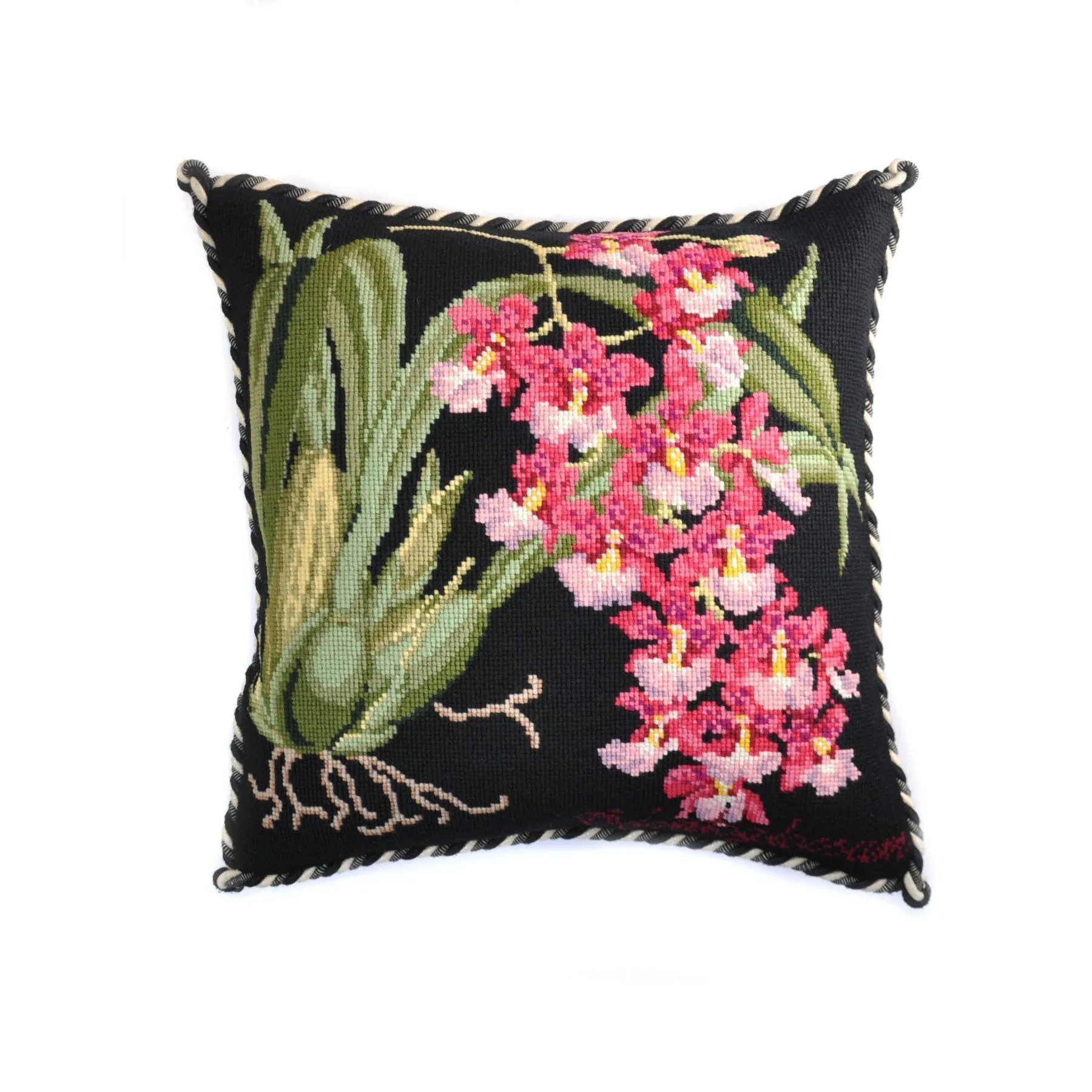 Odontoglossum (Tiger Orchid)
