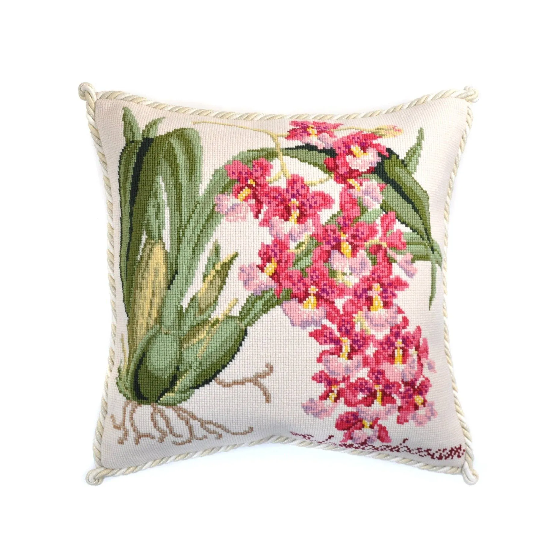 Odontoglossum (Tiger Orchid)