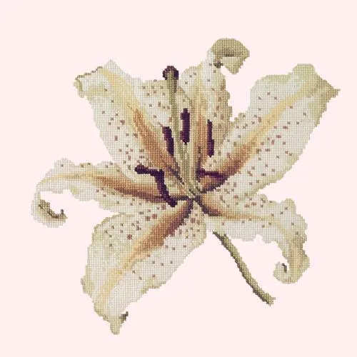 Oriental Lily