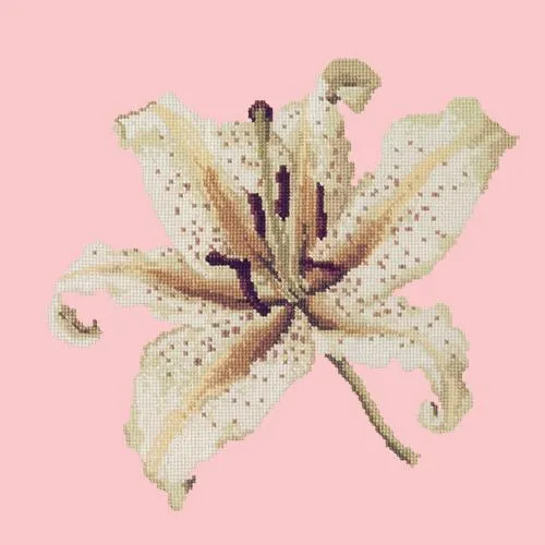 Oriental Lily