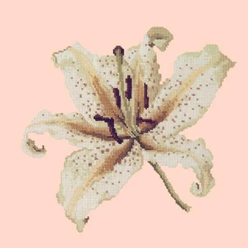 Oriental Lily