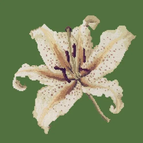 Oriental Lily