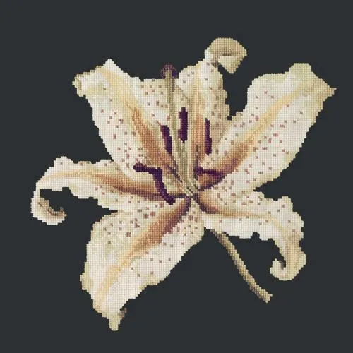 Oriental Lily