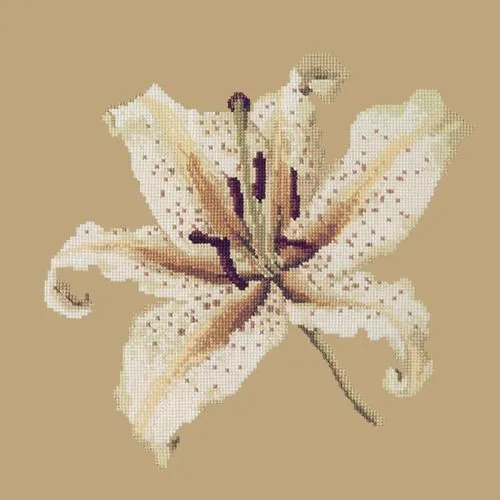 Oriental Lily
