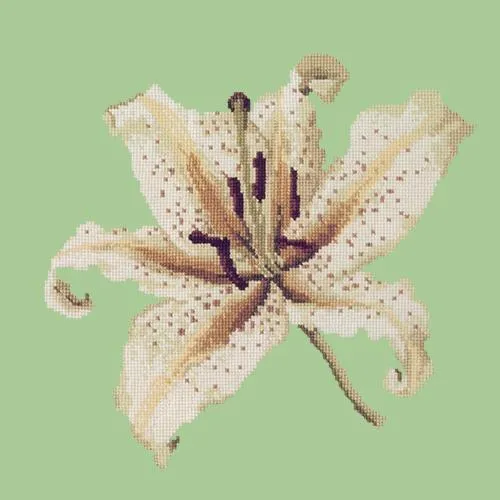 Oriental Lily