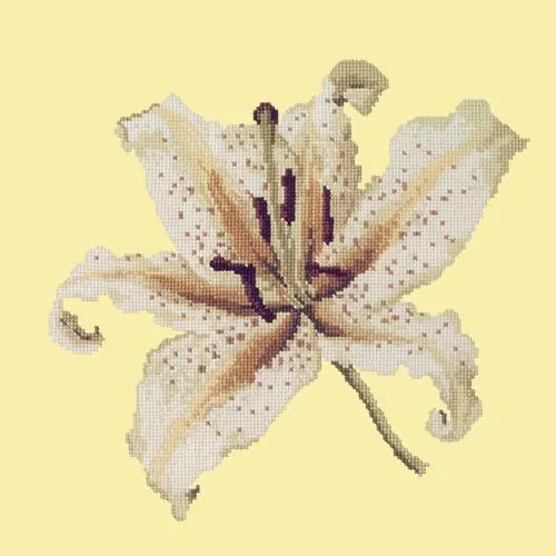 Oriental Lily