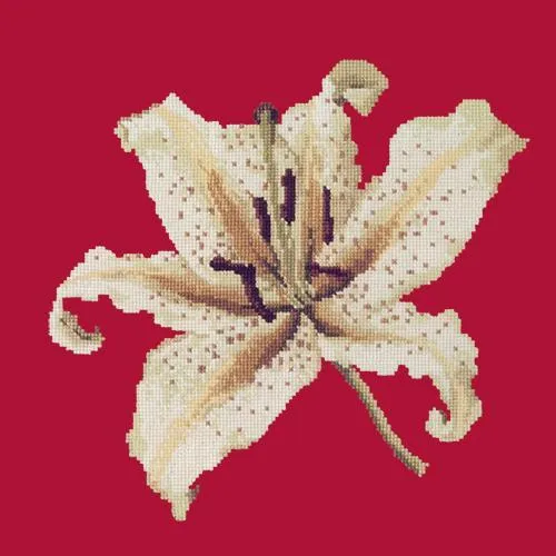 Oriental Lily