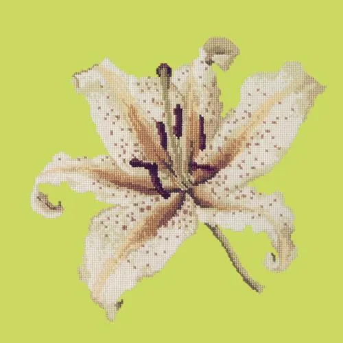 Oriental Lily