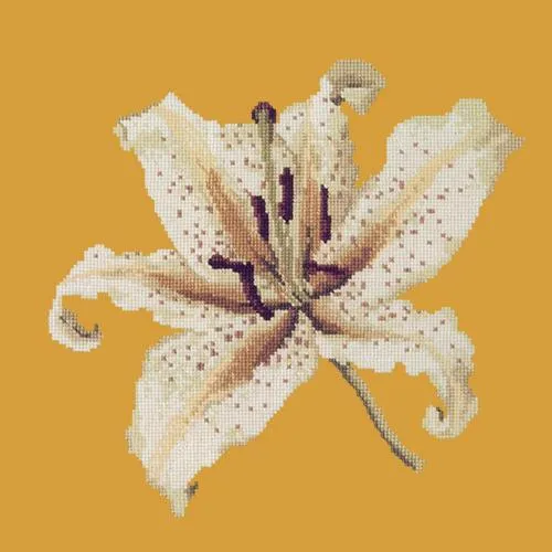 Oriental Lily
