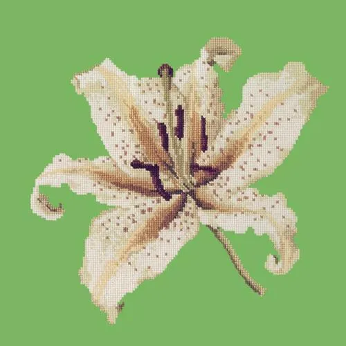 Oriental Lily