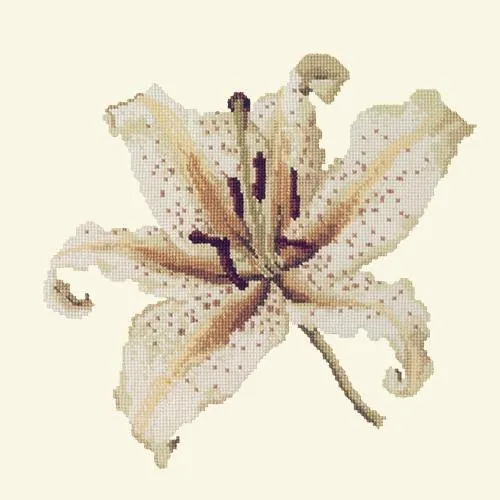 Oriental Lily
