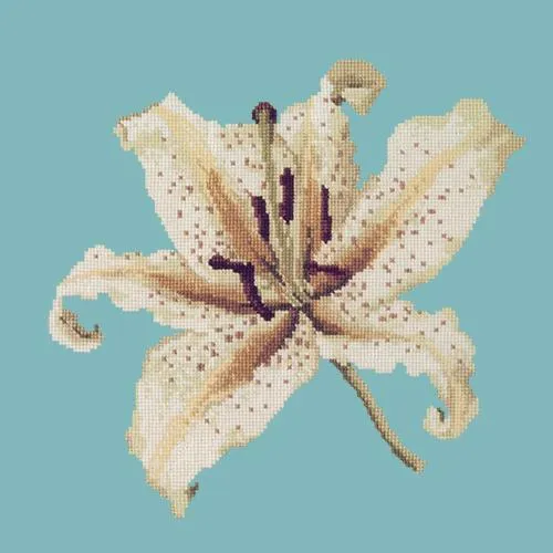 Oriental Lily