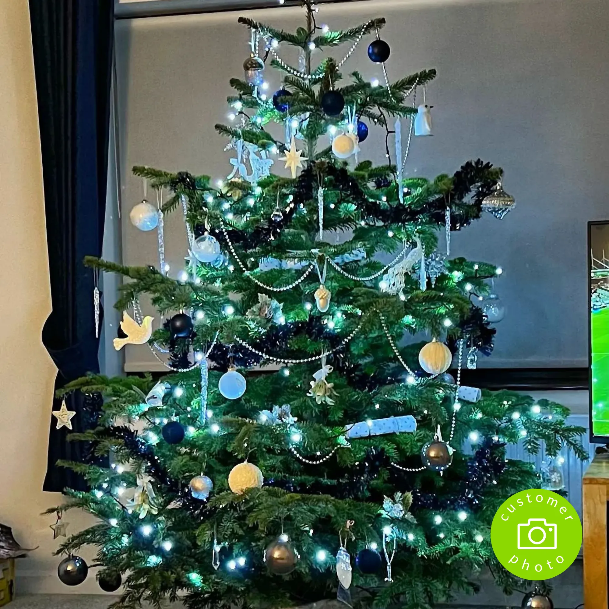 Real Christmas Tree