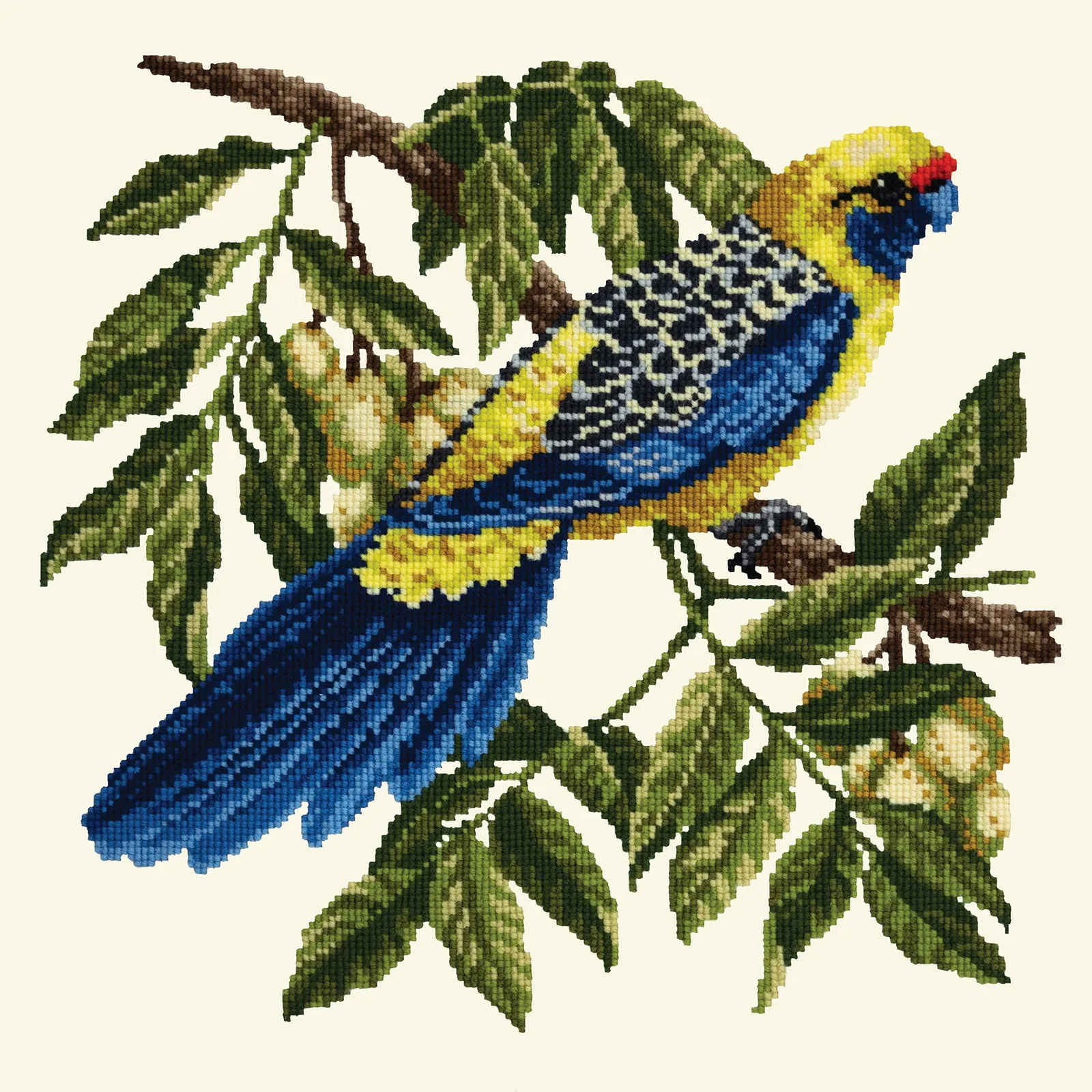Rosella