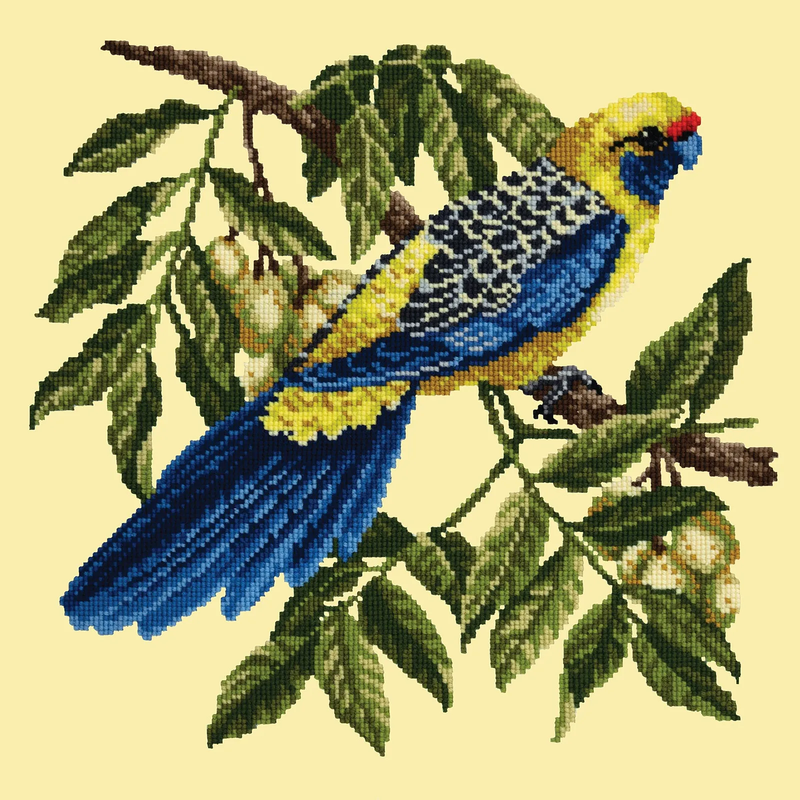 Rosella