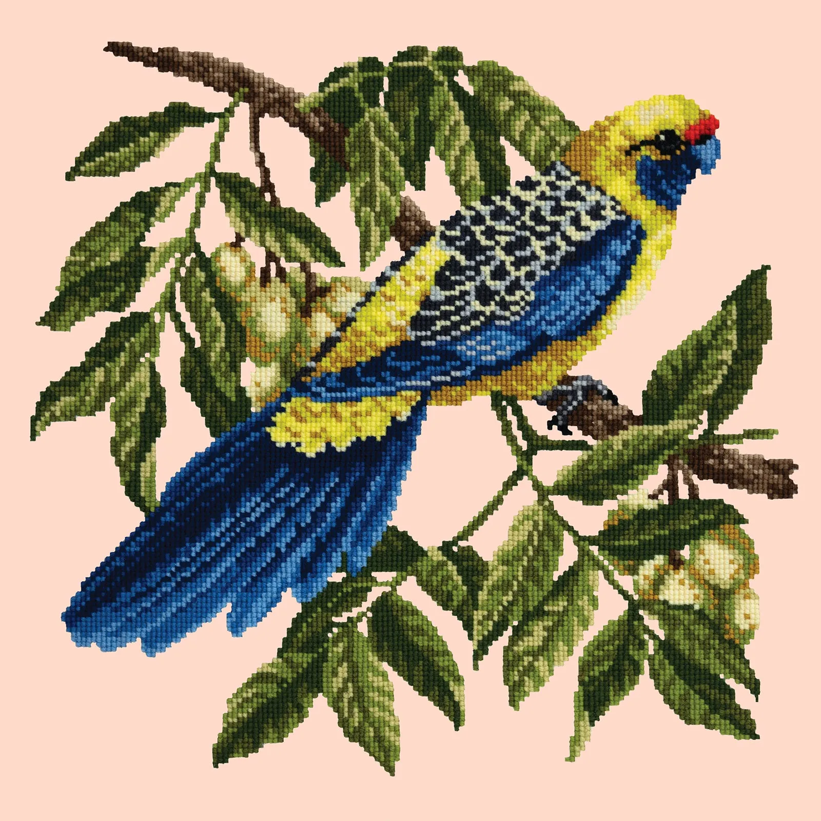 Rosella