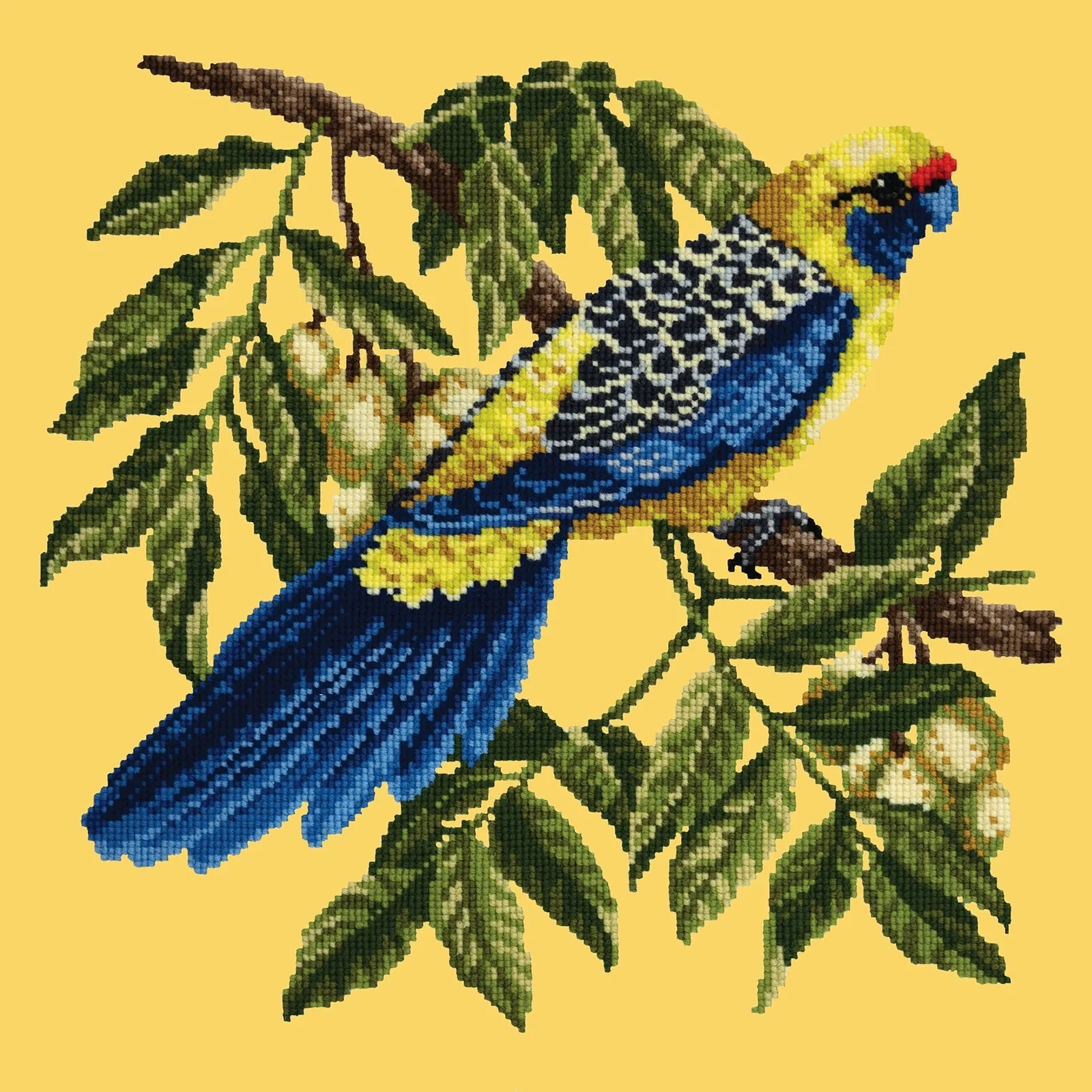 Rosella