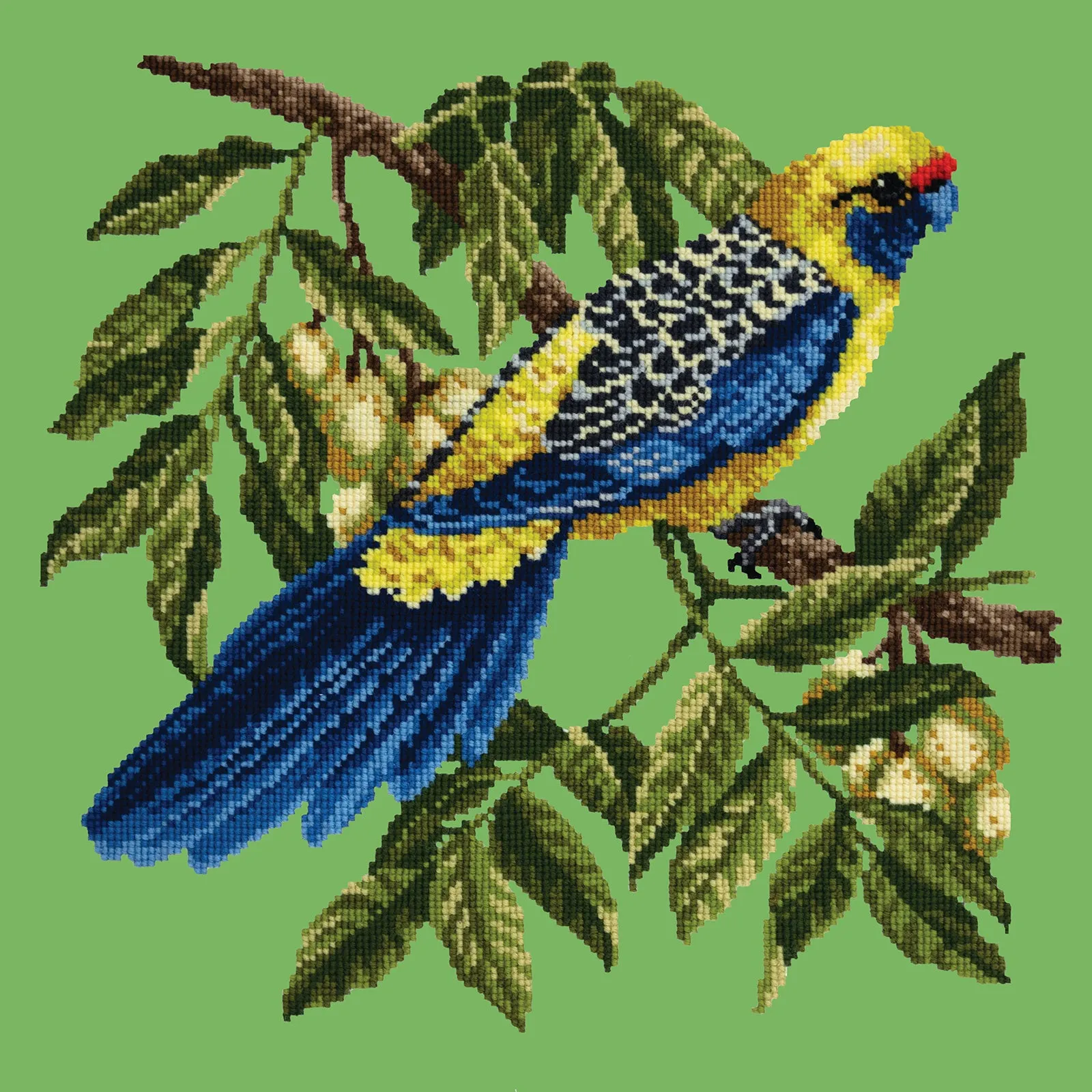 Rosella
