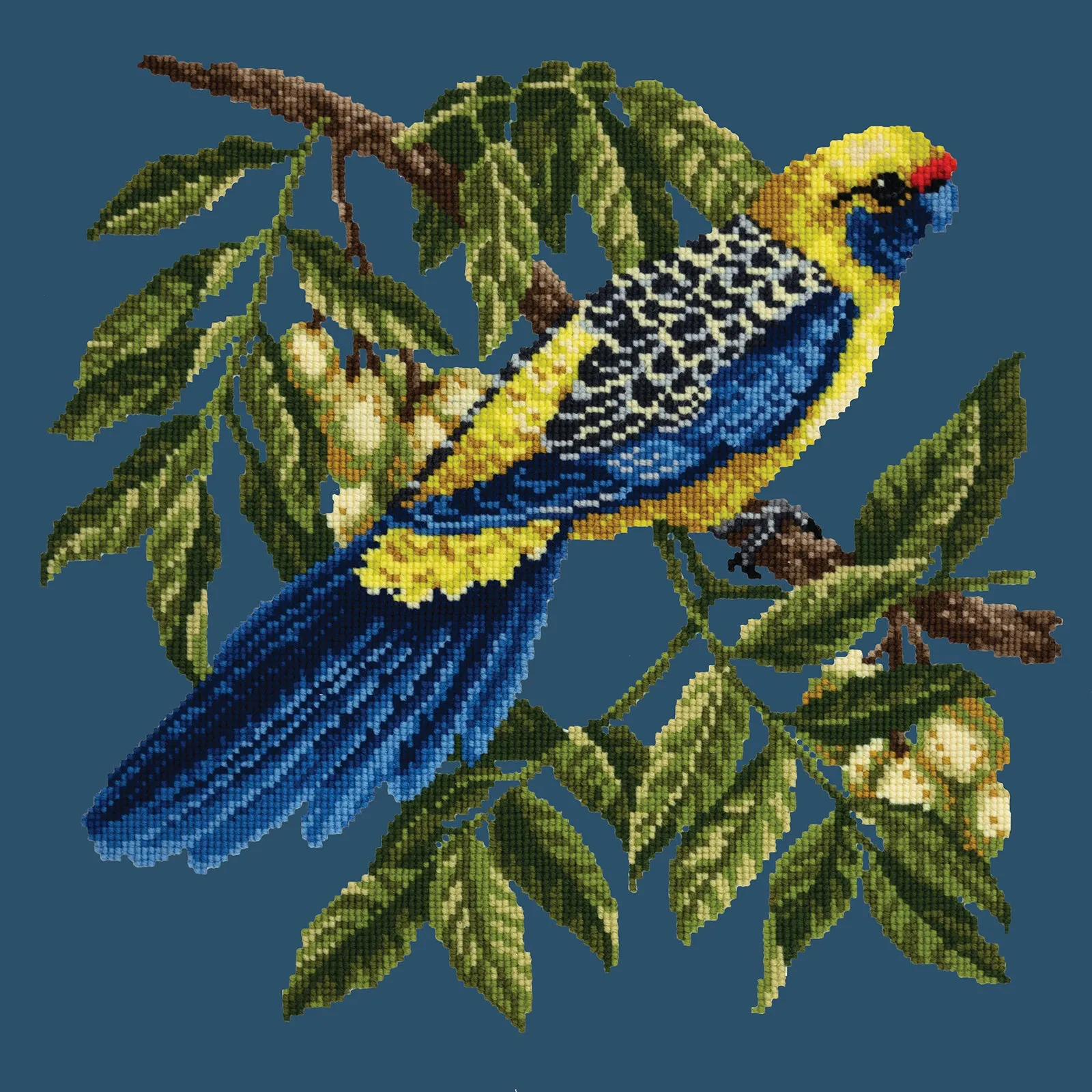 Rosella