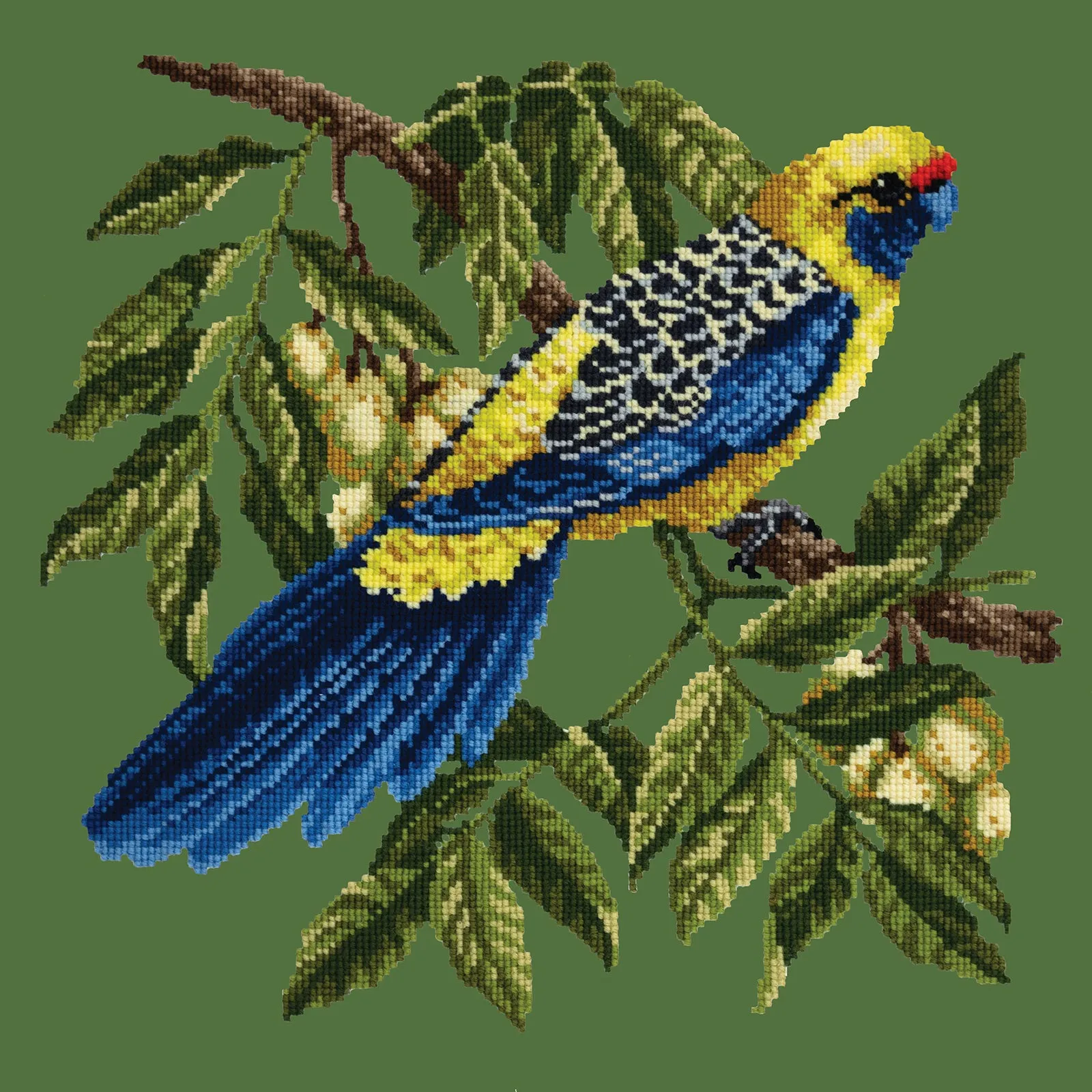 Rosella