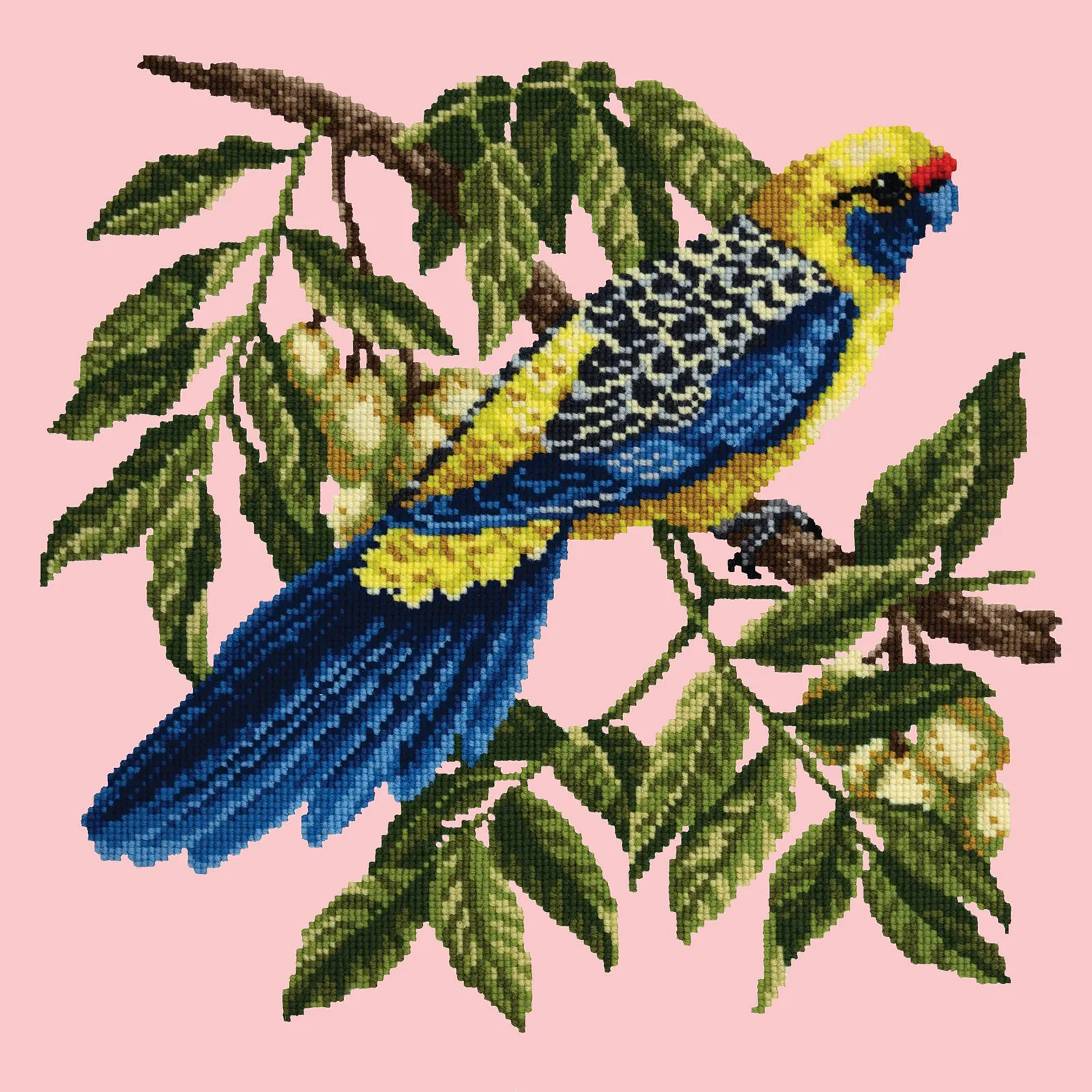 Rosella