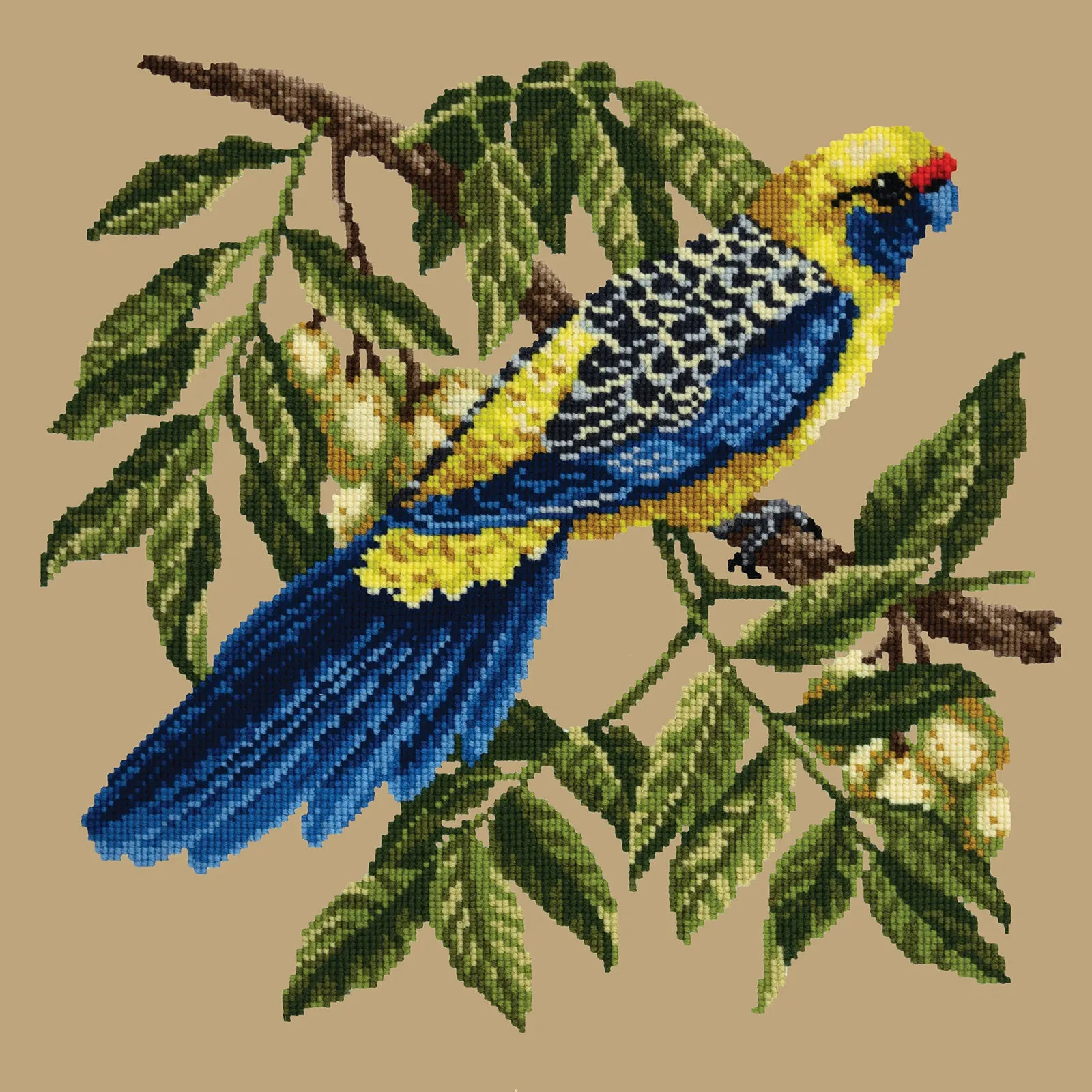 Rosella