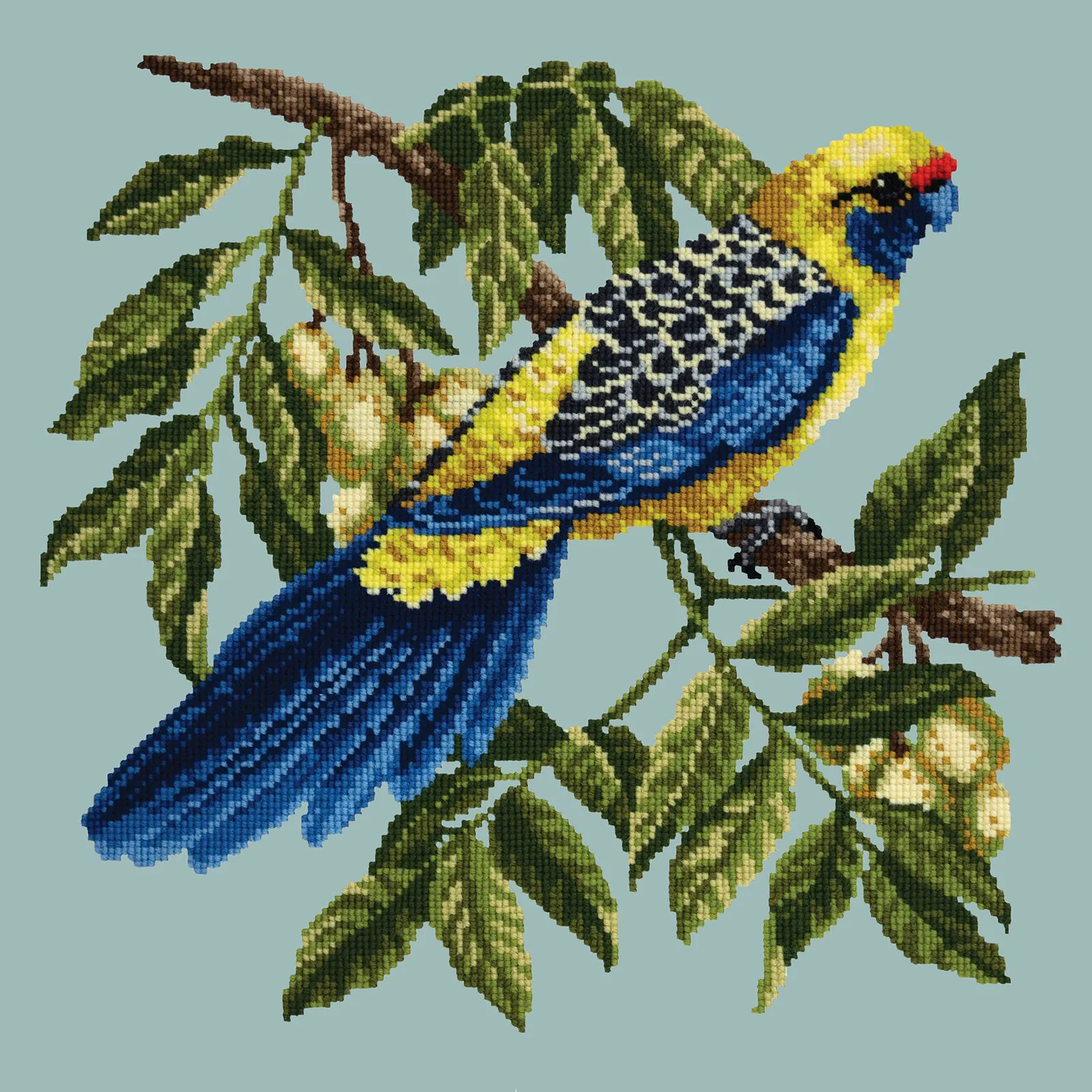 Rosella